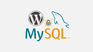 phpMyAdmin Üzerinden WordPress Şifresi Nasıl Değiştirilir?