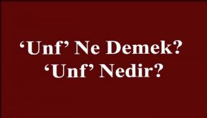 unf ne demek