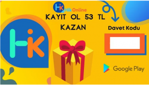 hik-online