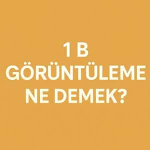 1 b görüntüleme
